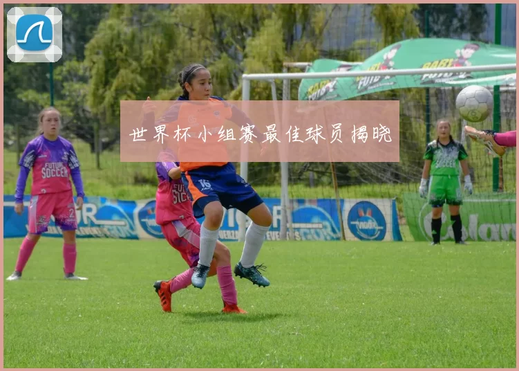 世界杯小组赛最佳球员揭晓
