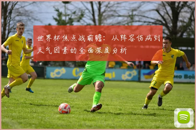 世界杯焦点战前瞻：从阵容伤病到天气因素的全面深度分析