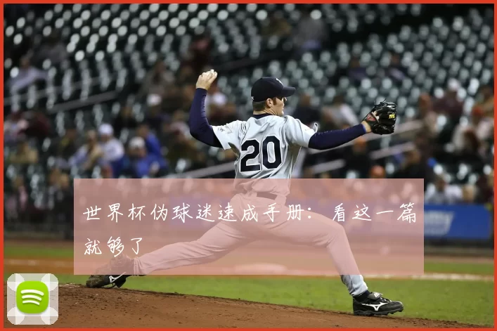 世界杯伪球迷速成手册:看这一篇就够了