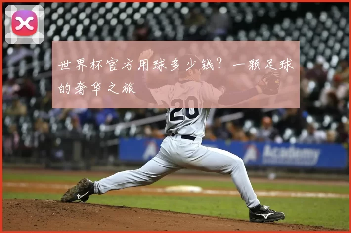 世界杯官方用球多少钱？一颗足球的奢华之旅