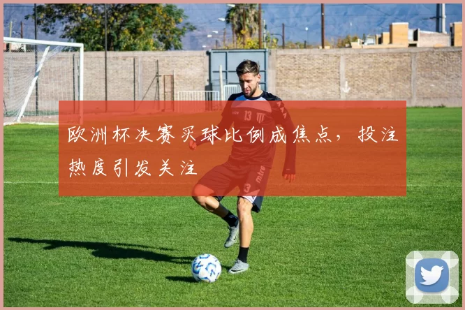 欧洲杯决赛买球比例成焦点，投注热度引发关注