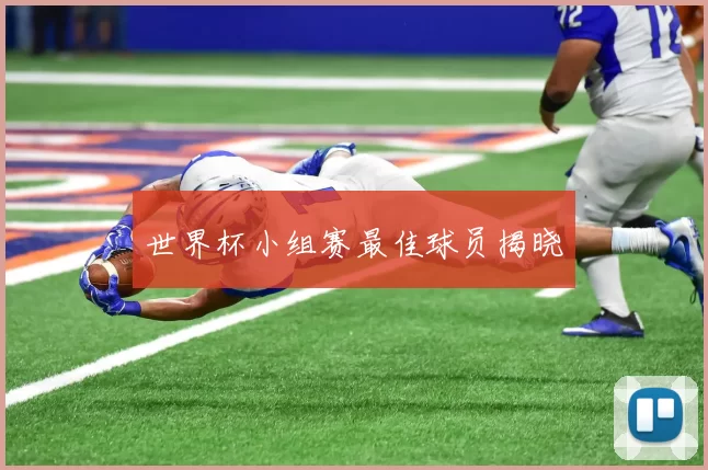 世界杯小组赛最佳球员揭晓