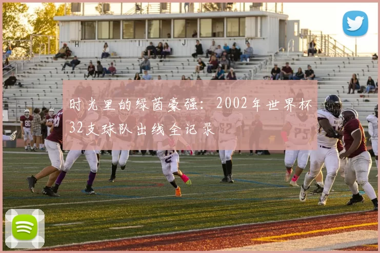 时光里的绿茵豪强：2002年世界杯32支球队出线全记录