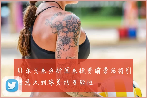 贝尔戈米分析国米投资前景或将引进意大利球员的可能性