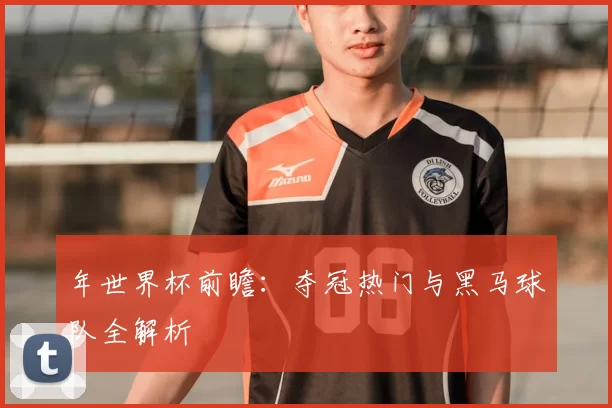 年世界杯前瞻：夺冠热门与黑马球队全解析