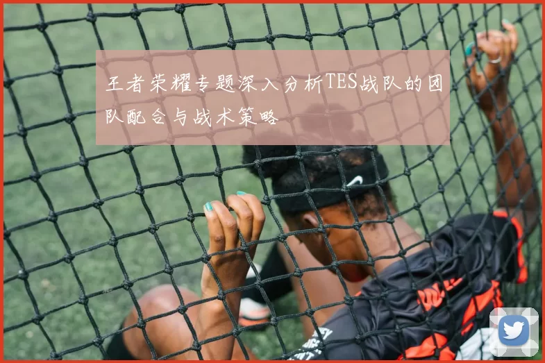 王者荣耀专题深入分析TES战队的团队配合与战术策略