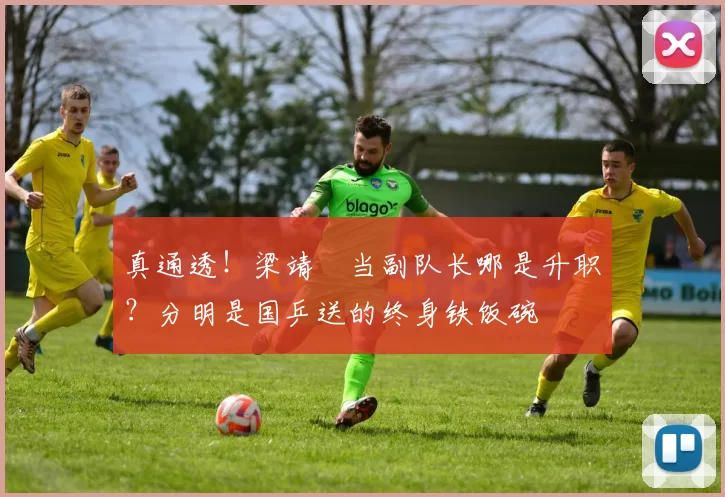 真通透！梁靖崑当副队长哪是升职？分明是国乒送的终身铁饭碗