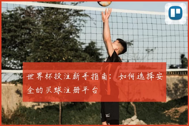 世界杯投注新手指南:如何选择安全的买球注册平台