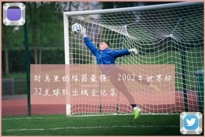 时光里的绿茵豪强：2002年世界杯32支球队出线全记录