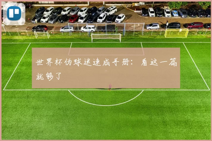 世界杯伪球迷速成手册:看这一篇就够了