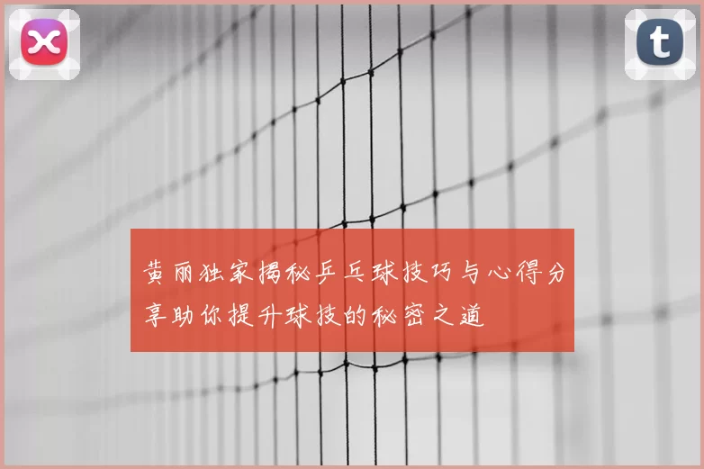 黄丽独家揭秘乒乓球技巧与心得分享助你提升球技的秘密之道