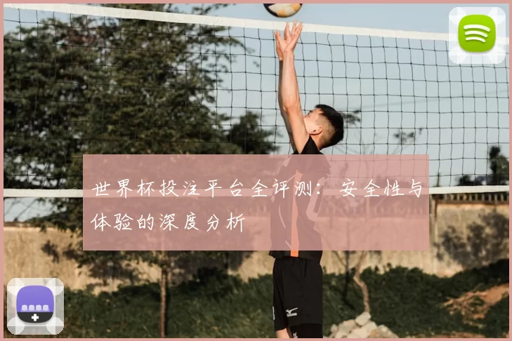 世界杯投注平台全评测:安全性与体验的深度分析
