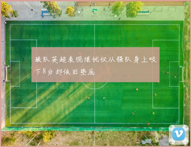 狼队英超表现堪忧仅从强队身上咬下8分却依旧垫底