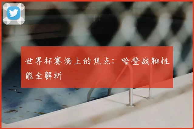世界杯赛场上的焦点:哈登战靴性能全解析