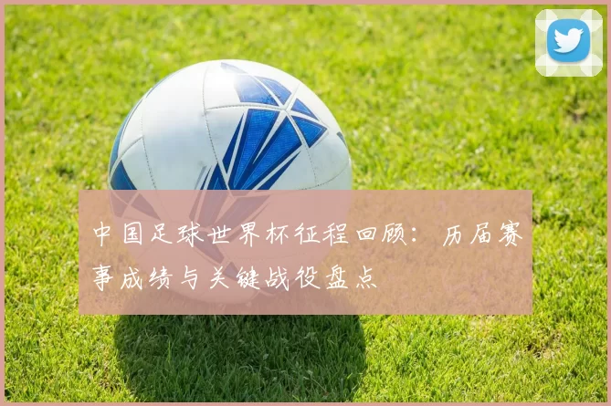 中国足球世界杯征程回顾:历届赛事成绩与关键战役盘点